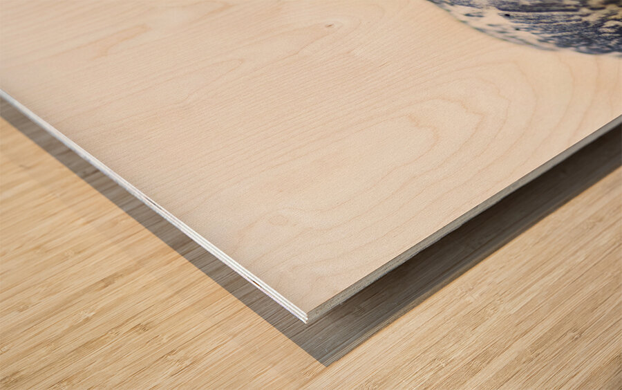 Harry Hermit Crab Wood print