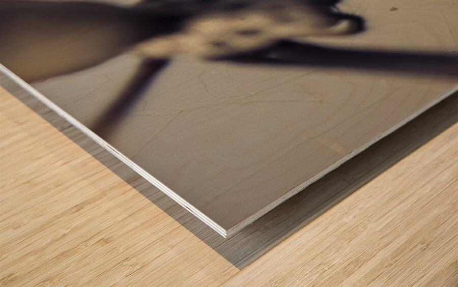 Caught in a web of entrapment Wood print