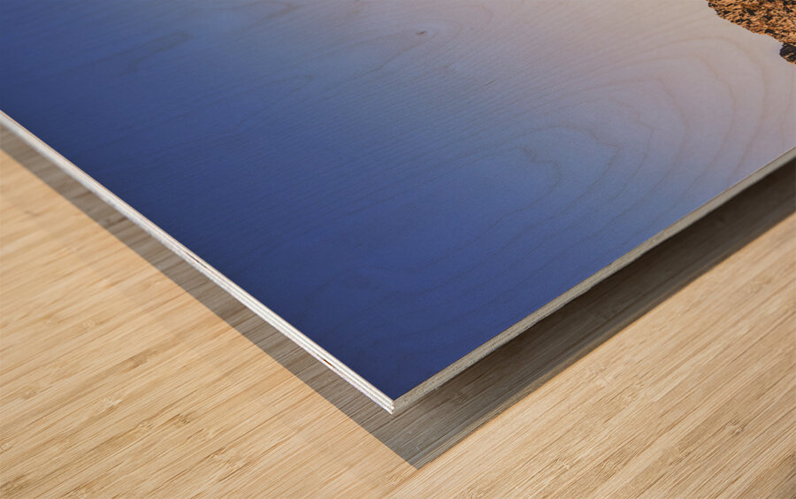 Scenic barren range Wood print