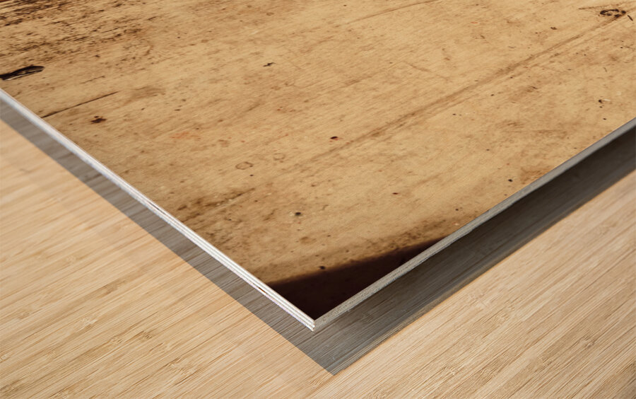 Rustic golf club memorabilia Wood print