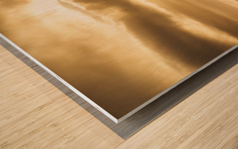 Late day rays Wood print