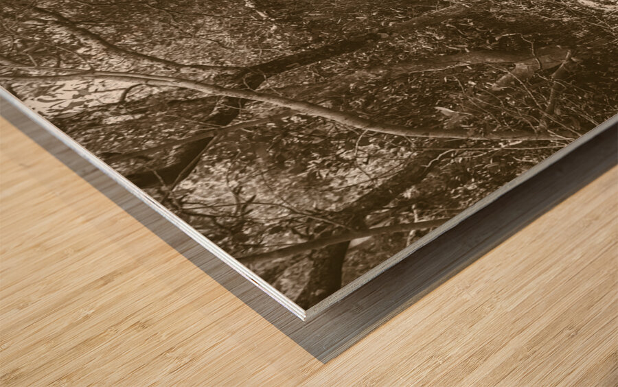 Landlocked Wood print