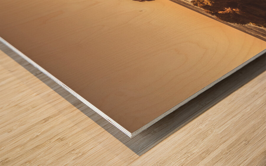 Holiday dreaming Wood print