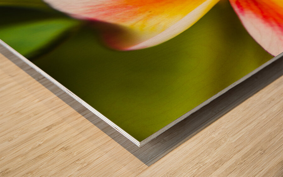 Centered  Wood print