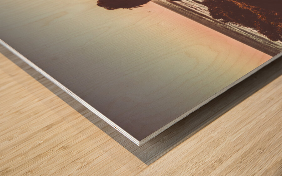 Western wonderer Wood print