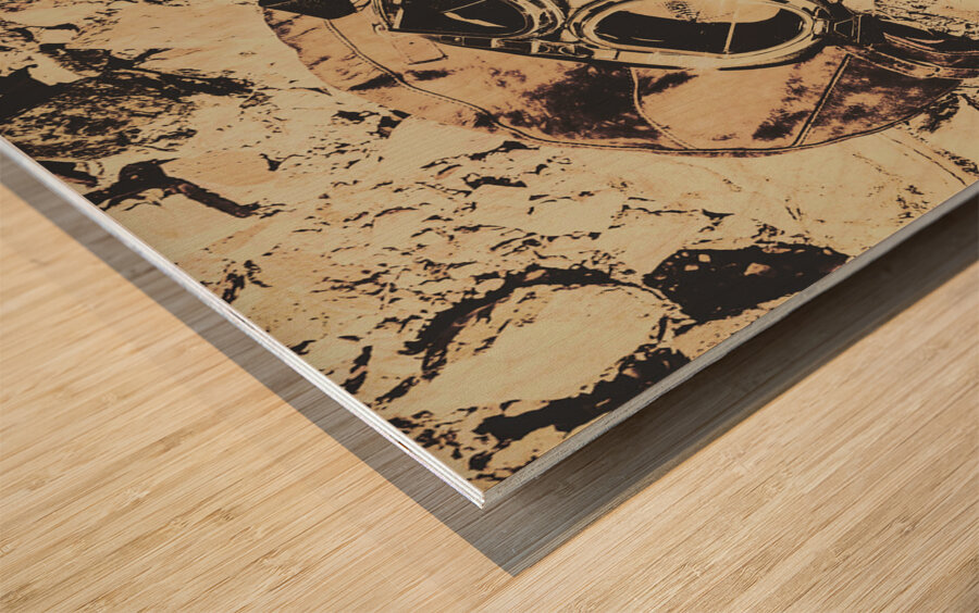 Pioneering aviation and travel Wood print