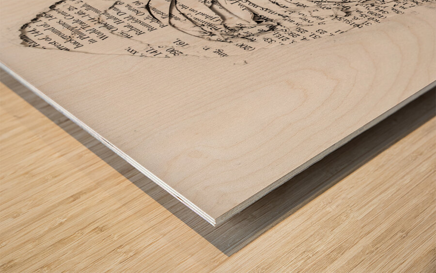 Hole in the official story Wood print