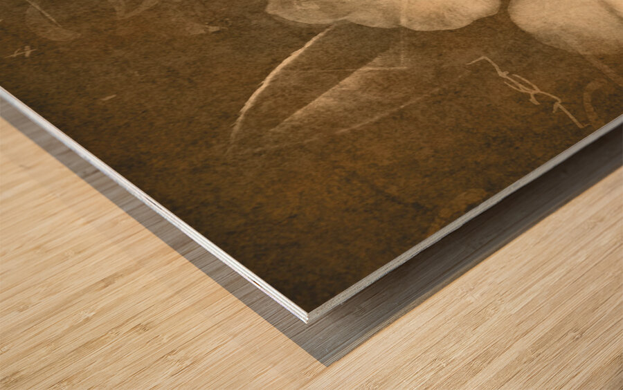 Vintage postcard flower Wood print