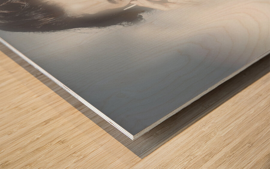 Classy sixties fashion girl in foggy field Wood print