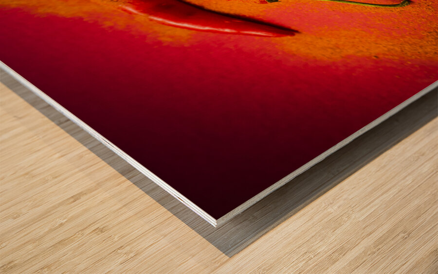 Curry shop art Wood print