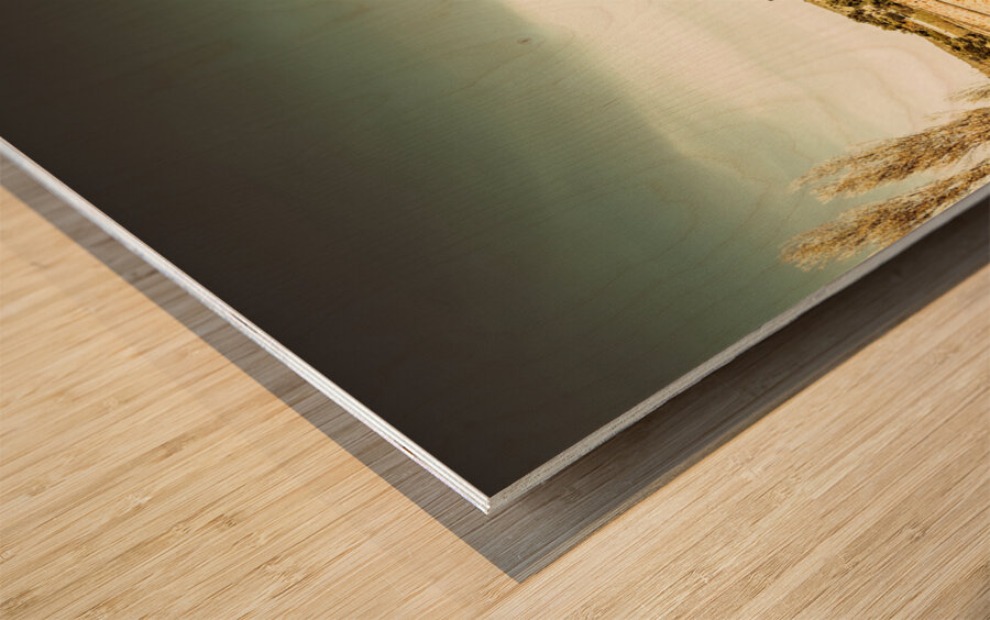 Australian bridges Wood print