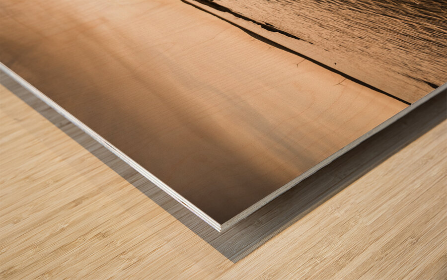 Petal point ocean sunrise Wood print