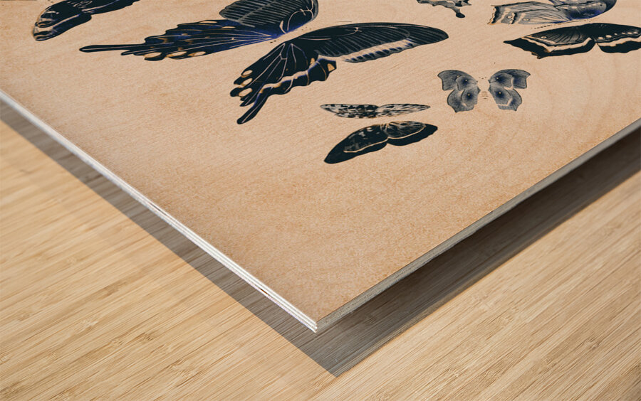 Scrapbook butterflies Wood print