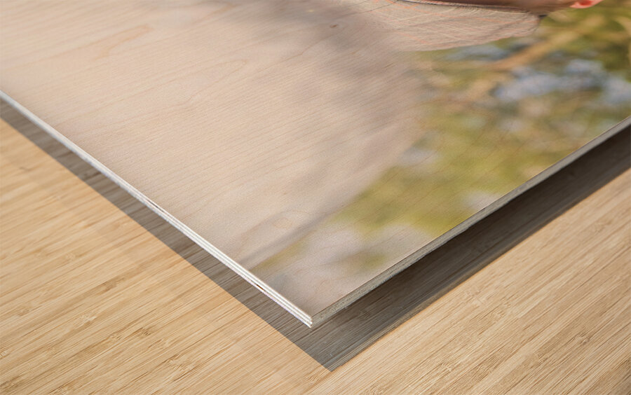 Golf Four And Out…Cold Wood print