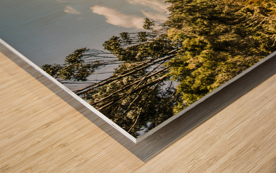 Rural paths out yonder Wood print