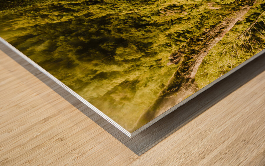 Wilderness falls Wood print