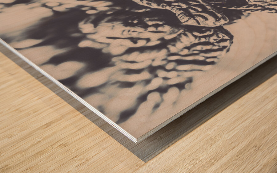 Historic angel abstract Wood print