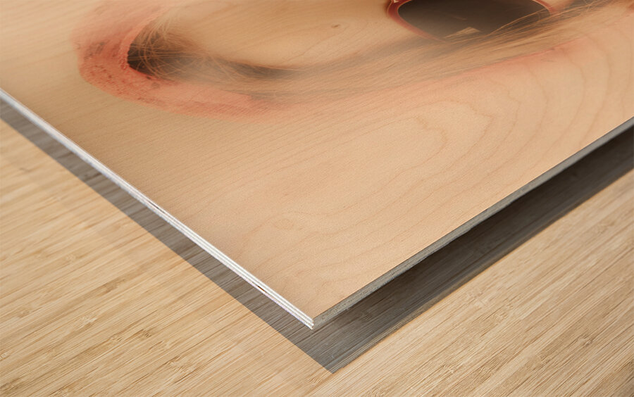 Old-fashioned mysterious beauty Wood print