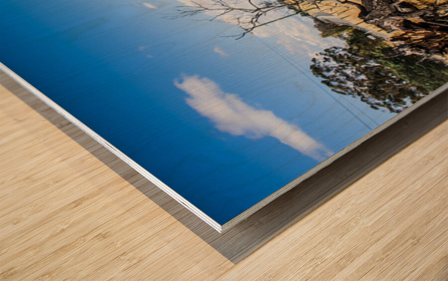 Australia summer landscape of rural Tasmania Wood print