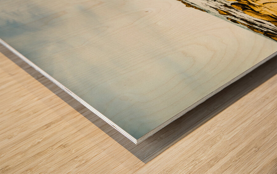 Beacon beach Wood print