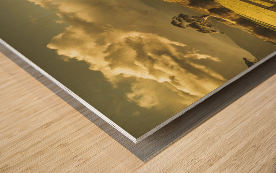 Outback country paddock Wood print