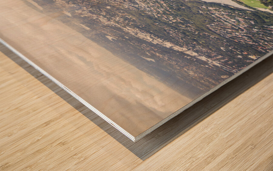 Scenic Sydney suburbia  Wood print