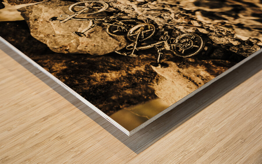 Rustic mountain bikes Wood print