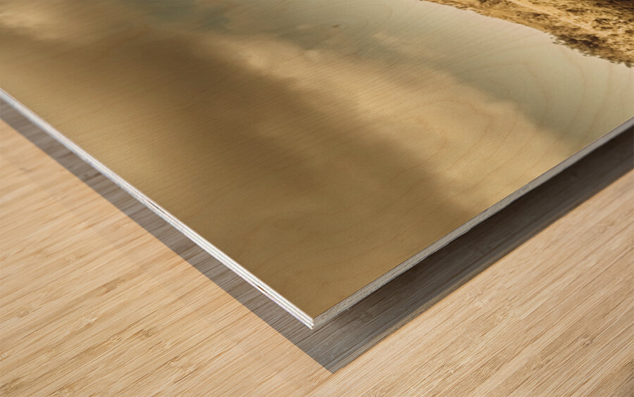 Wild West Mountain Panorama Wood print