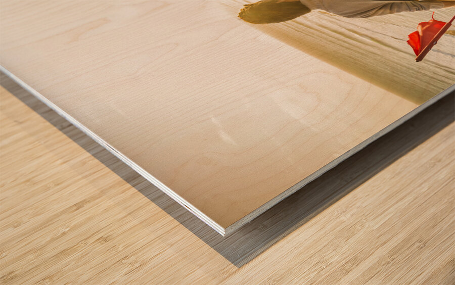 Spirit of Tasmania Wood print