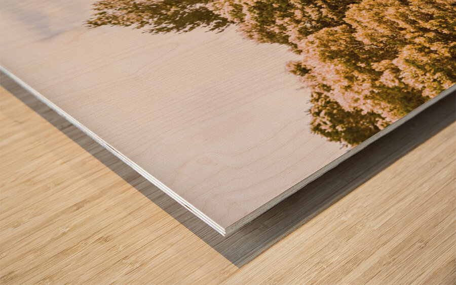 Ornate outbacks Wood print