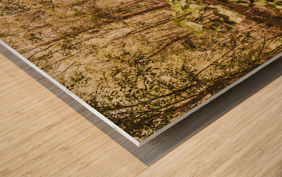 Autumn path obscured by fallen foliage Wood print