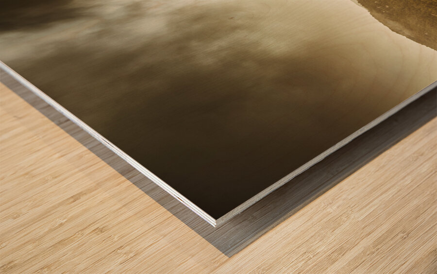 Foggy mountainous forest Wood print