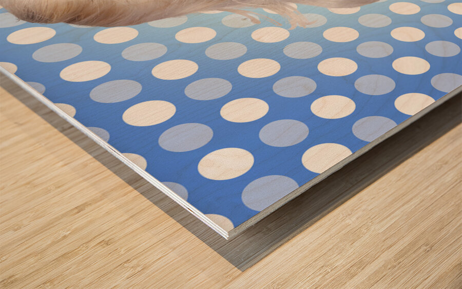 Vintage 1950 retro cleaning advertisement Wood print