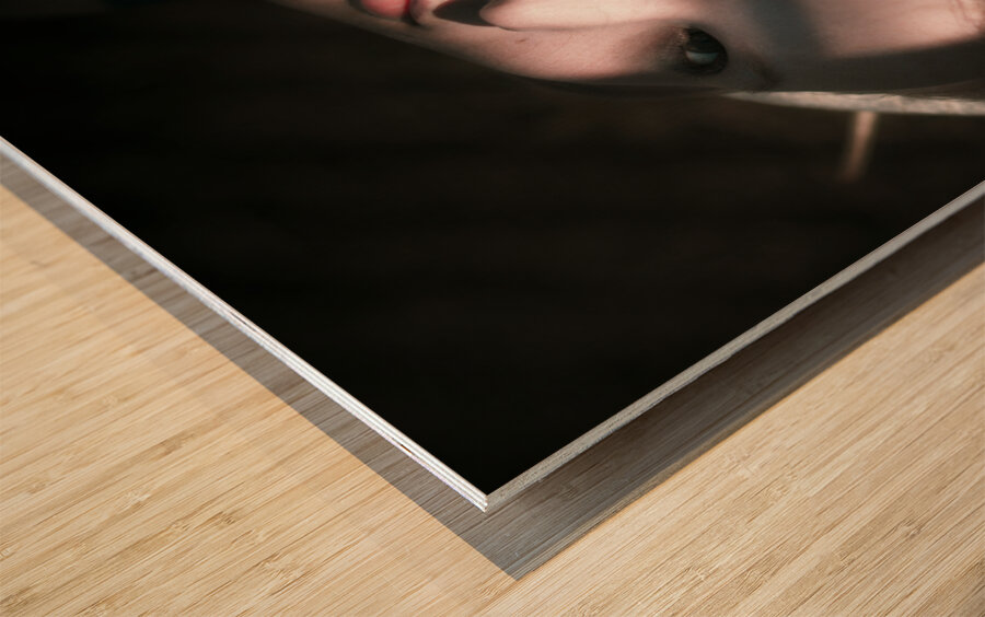 Moon Lit Face Wood print