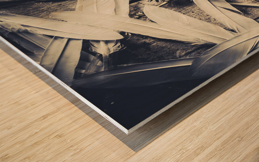 Feathers of freedom and the statue of liberty Wood print