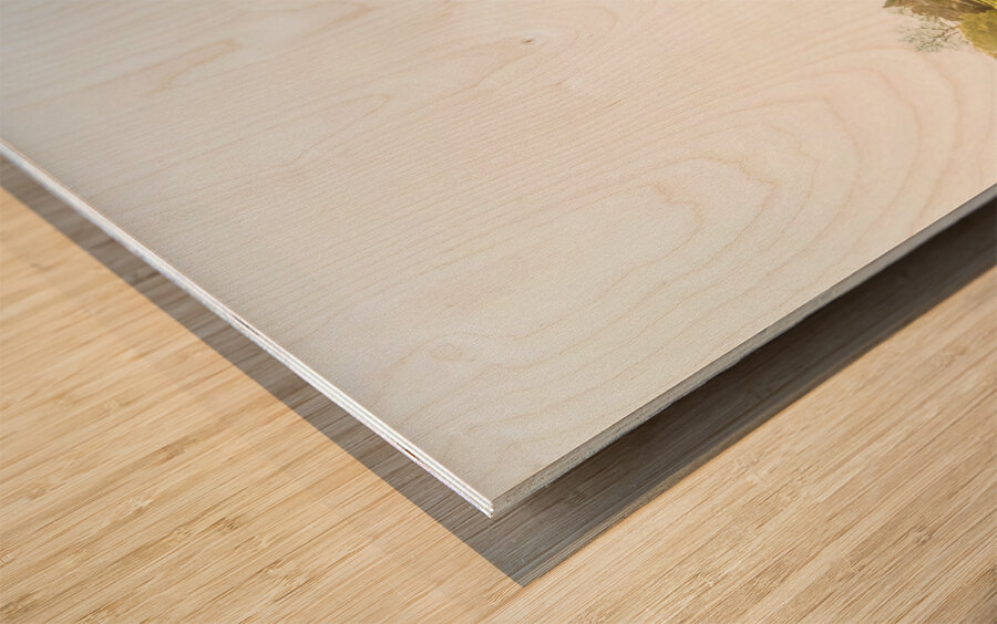 Deloraine cherry tree panorama Wood print