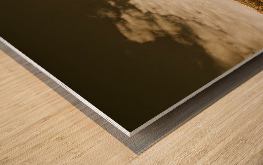 Old summer hills Wood print