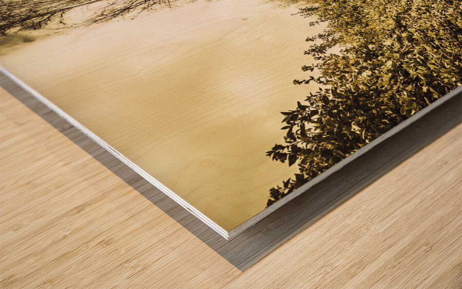 Up the garden path Wood print