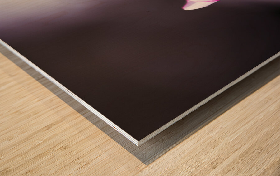 Beauty In Growth Wood print