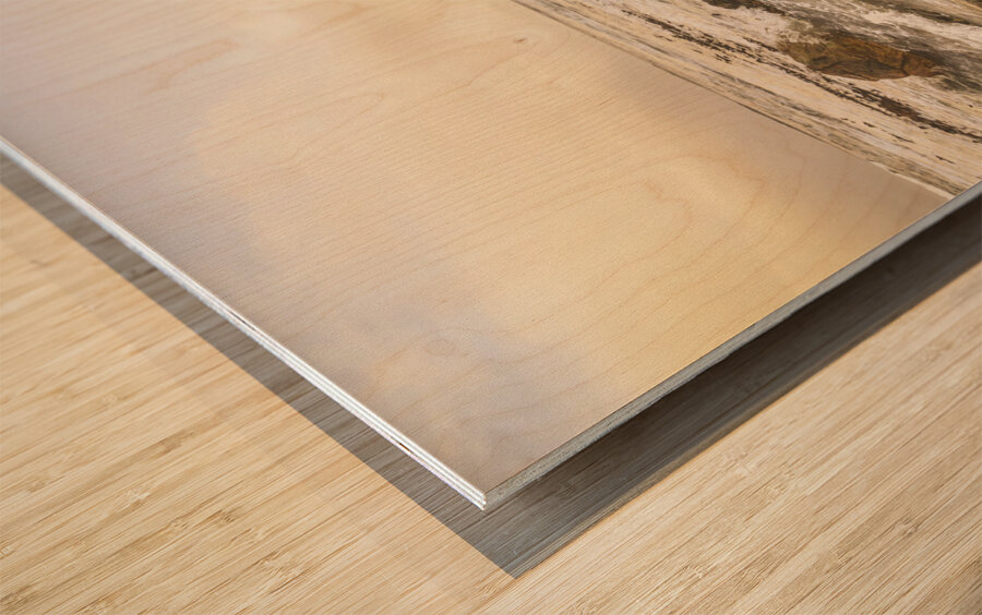 Pastel sea landscape Wood print