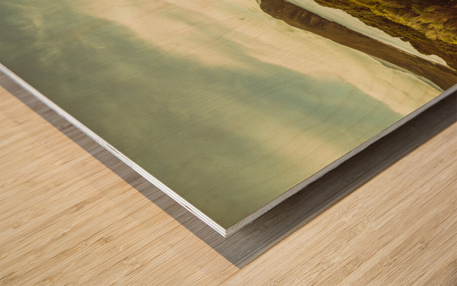 Grassy hills and distant mountains Wood print