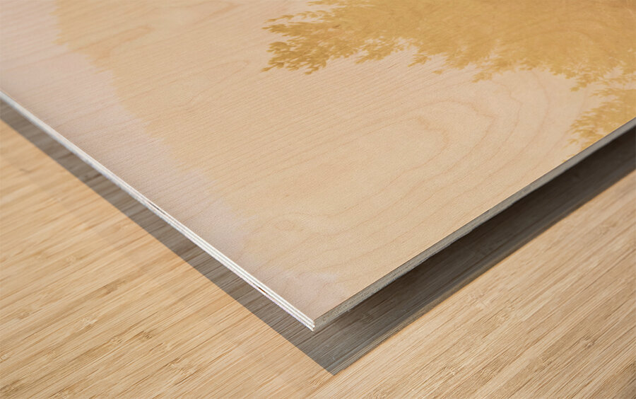 Western ranch horse Wood print