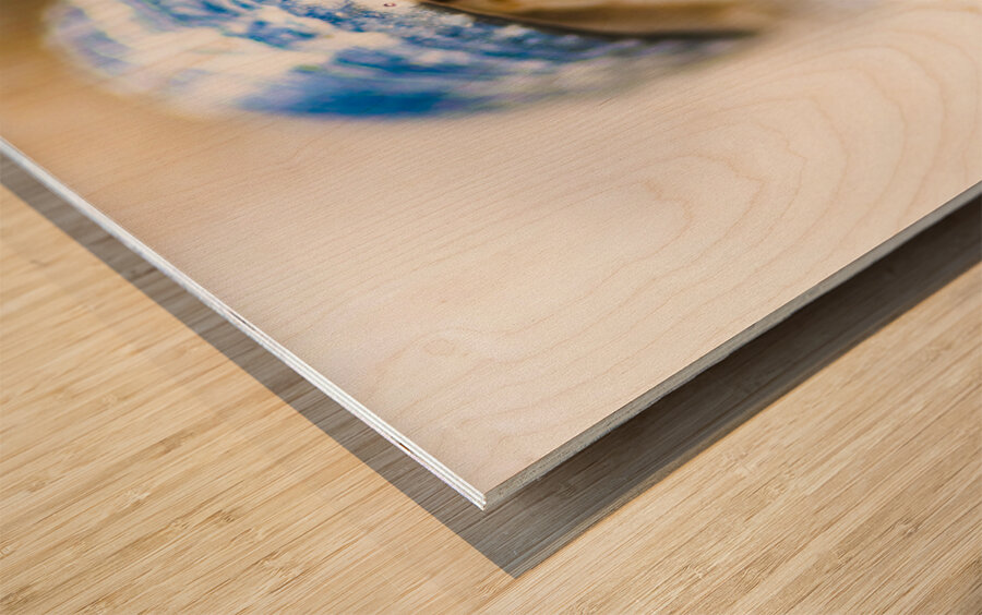 Hiding Hermit Crab Wood print