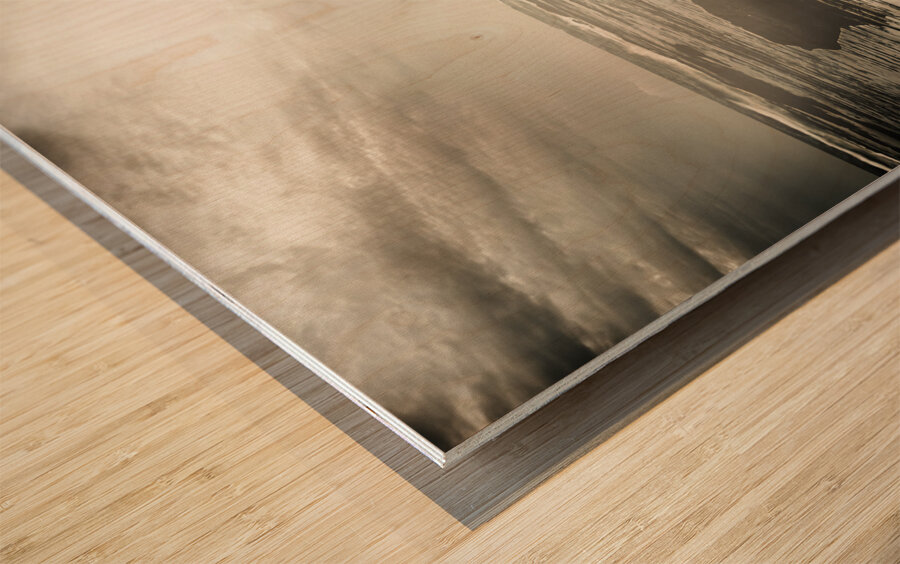 The travel bug Wood print