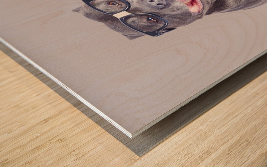 Dog wearing nerd glasses Wood print