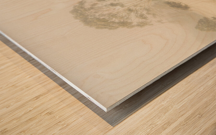 Trees in fog and mist Wood print