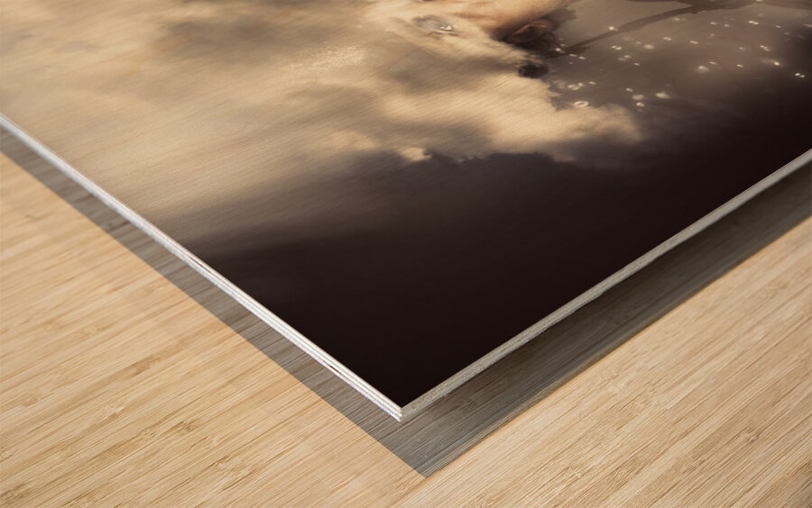 Fog of war Wood print