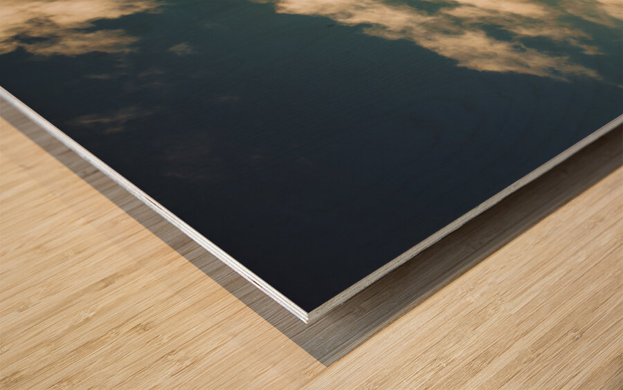 Cherry farm in the sowing Wood print