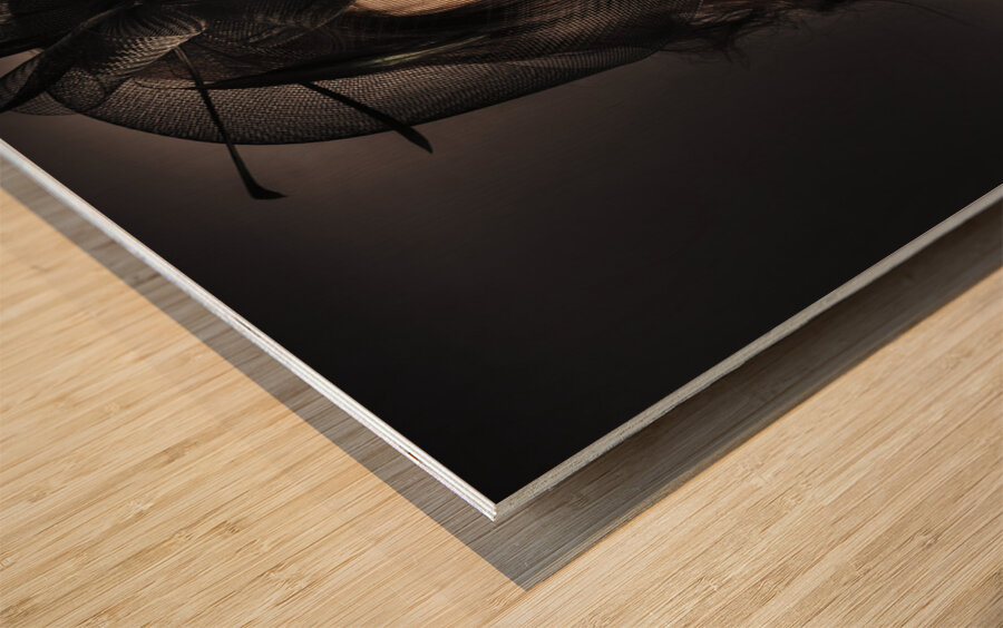 Beautiful Jewellery Woman Wearing Necklace Wood print