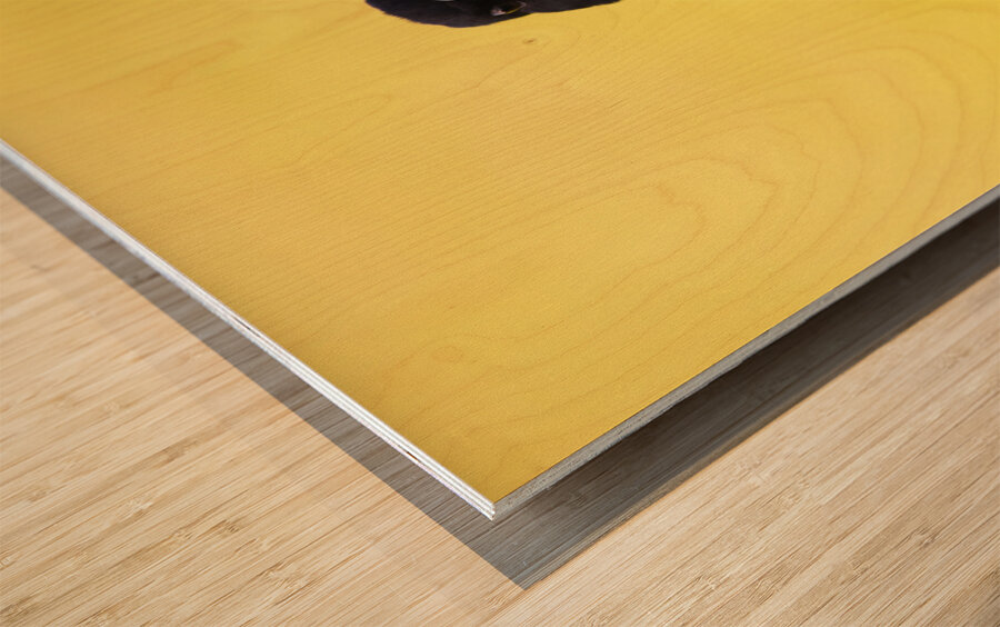 Mr. Magpie Wood print